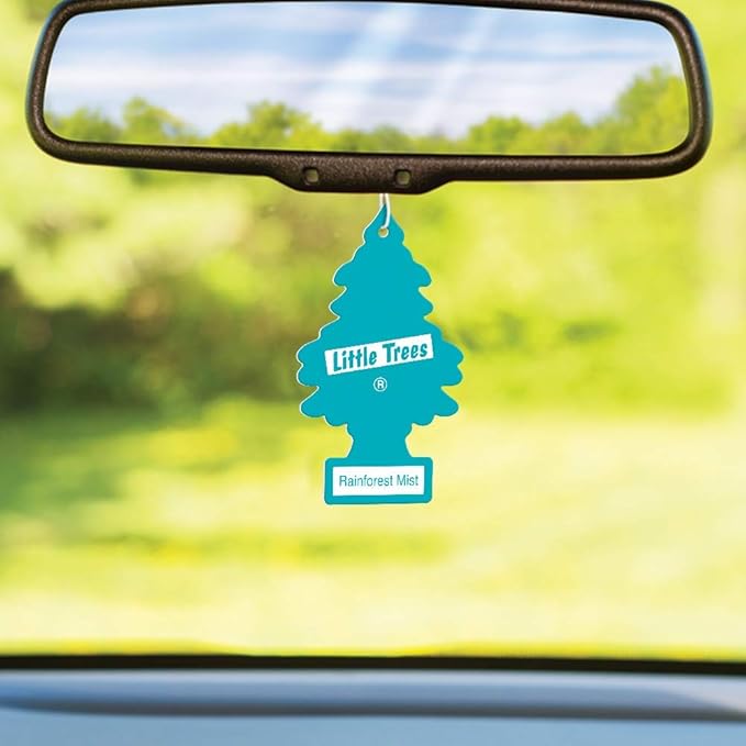 Little Trees Cardboard Hanging Car, Home & Office Air Freshener, Rainforest Mist (Pack of 12)