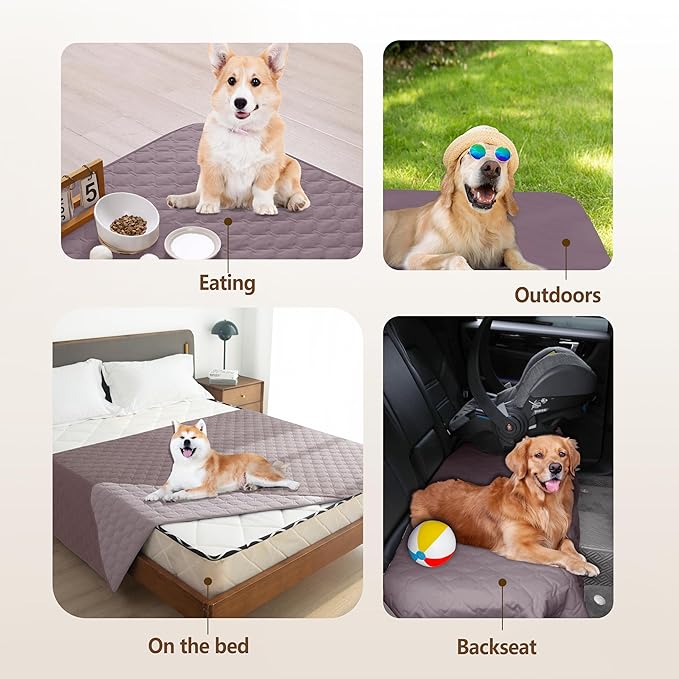 gogobunny 100% Double Sided Waterproof Dog Blanket Soft Pet Bed Cover Reversible Protect Furniture Couch Sofa Car for Puppy Large Dog Cat (Dark Sea Fog/Light Sea Fog, 82x82 Inch (Pack of 1))