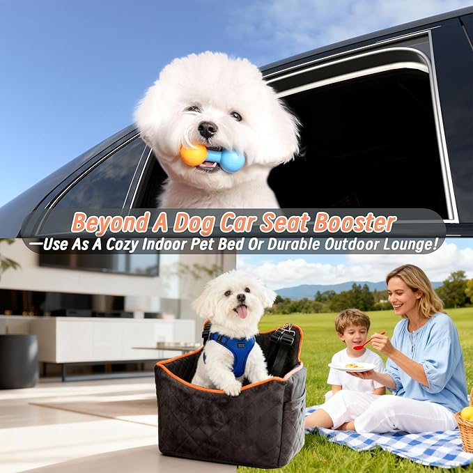 Dog Car Seat for Medium Sized Dogs 30 lbs, Safety Booster Seat for Small Dogs Hooks to The Seatbelt & with Elevated Cushion, Soft Waterproof Washable Small Dog Car Seat with Storage Pockets (Black)