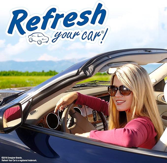 Refresh Your Car! E300888902 Dual Scent Vent Stick, Alpine Meadow and Summer Breeze, 4 Per Pack