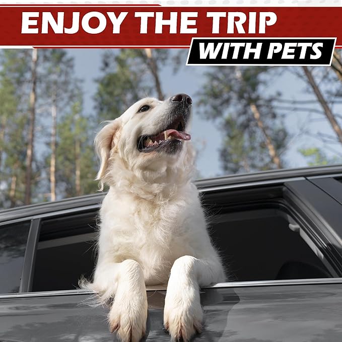 Universal Dog Car Net Barrier – Sturdy Mesh, Easy Install, Breathable Design, Easy to Clean, Flexible Bungee Cords for Adjustable Fit 23"×23" (Purple)
