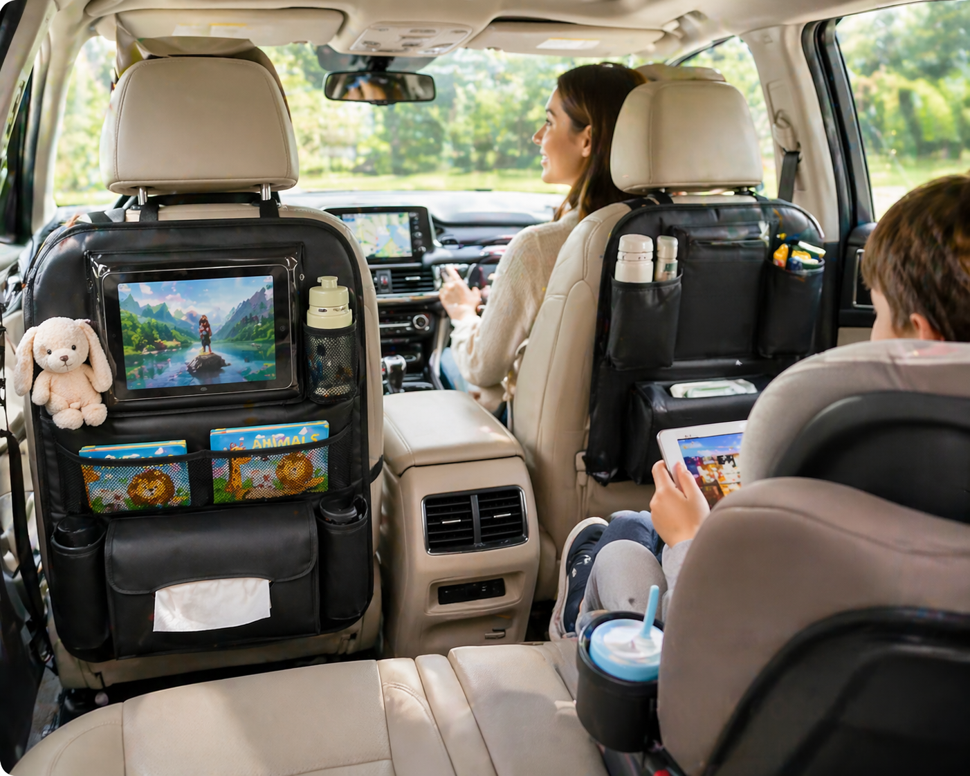 Car Organization