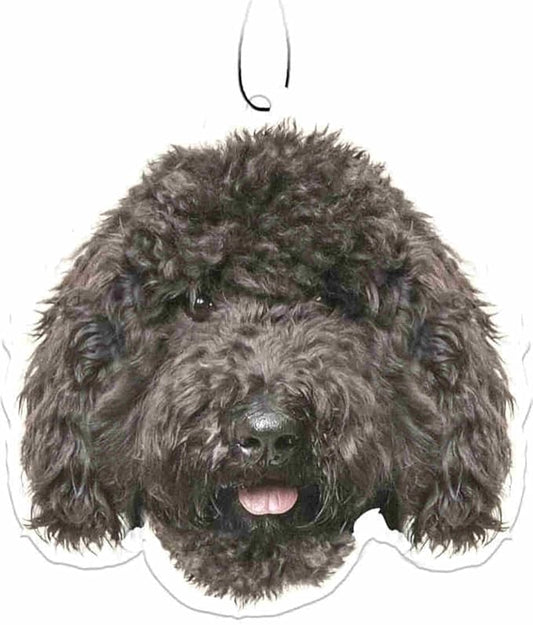 Spoontiques Black Labradoodle Air Freshener
