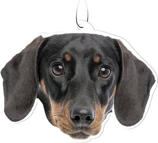 Spoontiques Dachshund Air Freshener (3pk) - Dog Themed Car Interior Accessories & Essentials - Hanging Deodorizer, Long-Lasting Fragrance (New Car Scent)
