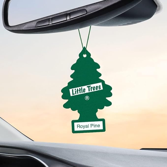 LITTLE TREES Car Air Freshener | Hanging Paper Tree for Home or Car | Royal Pine | 3 Pack
