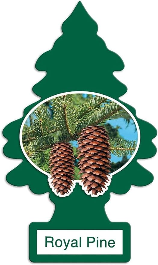 Super Variety Scent Pack of 12 Fresheners - 12 Different Masculine Super Variety Scents of Air Fresheners – Car, Trucks, RV, Home Air Freshener AHSR Products Bundle
