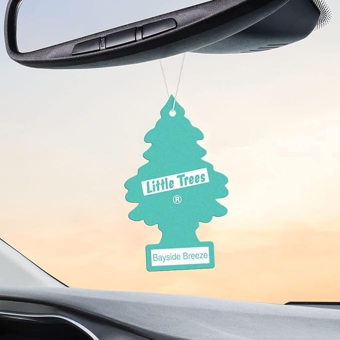 Little Trees Cardboard Hanging Car, Home & Office Air Freshener, Bayside Breeze (Pack of 12)