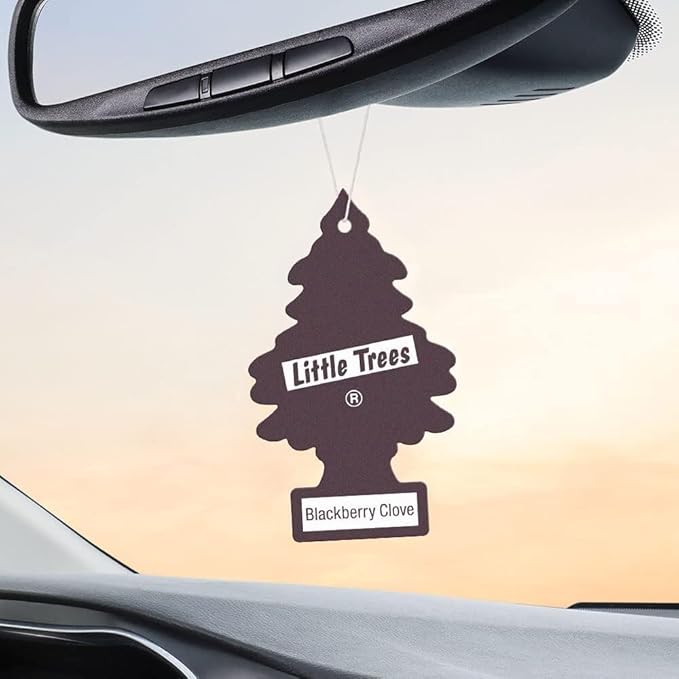 LITTLE TREES Car Air Freshener | Hanging Paper Tree for Home or Car | Blackberry Clove | Pack of 24
