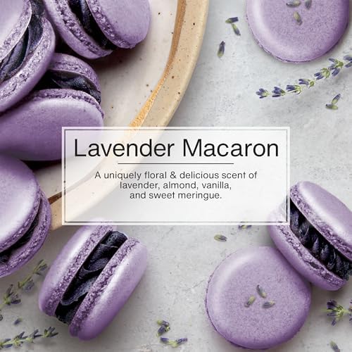 LITTLE TREES Car Air Freshener | Hanging Tree Provides Long Lasting Scent for Auto and Home | 24 Air Fresheners |Lavender Macaron