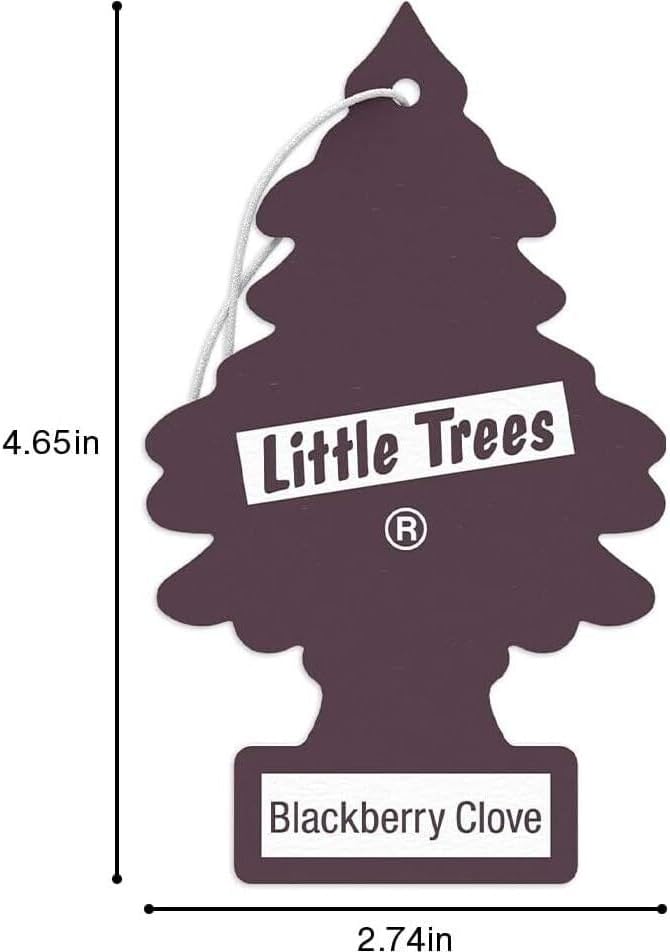 LITTLE TREES Car Air Freshener | Hanging Paper Tree for Home or Car | Blackberry Clove | Pack of 24