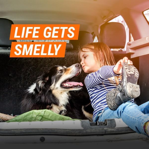 Armor All Car Air Freshener and Purifier, Car Odor Eliminator, Stocking Stuffers, 1.5 Ounce (Pack of 3)