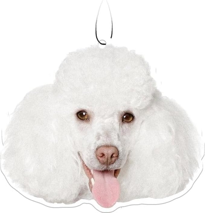 Spoontiques Poodle Air Freshener (3pk) - Dog Themed Car Interior Accessories & Essentials - Hanging Deodorizer, Long-Lasting Fragrance (New Car Scent)