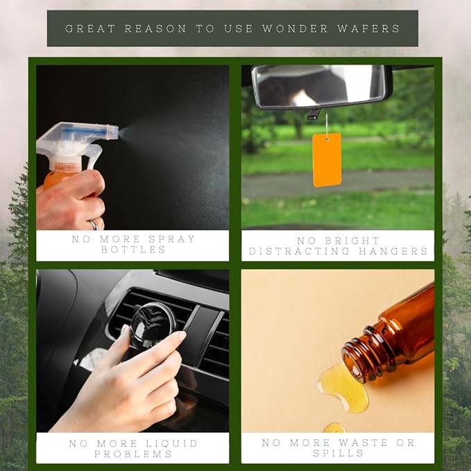 Wonder Wafers 250 Count Unwrapped Automobile Professional Use Air Fresheners Car and Truck Detail (Fresh and Clean)