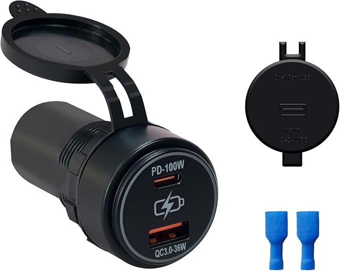 Dual USB Car Charger 100W Fast Charging PD & QC3.0 Type C & USB A Ports 12V/24V for Car Truck RV Boat Marine