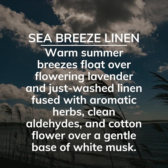Citrus Magic On The Go Solid Air Absorber Sea Breeze Linen, 8-Ounces Each (866472509) (Pack of 12)