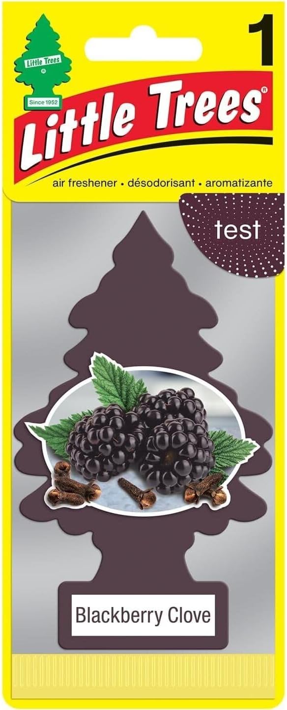 LITTLE TREES Car Air Freshener | Hanging Paper Tree for Home or Car | Blackberry Clove | Pack of 24