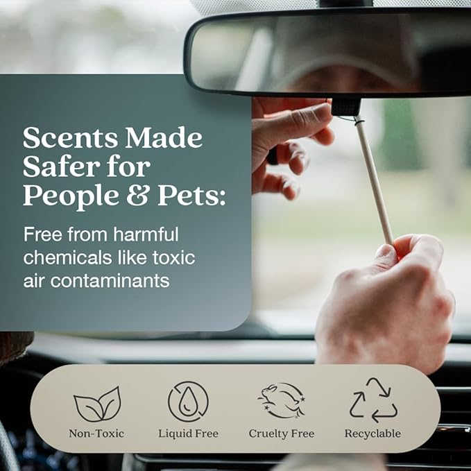 Enviroscent Non-Toxic* Car Air Freshener Auto Stix® - Scents Made Safer - Enjoy Fragrance Lasts Up to 180 Days - Includes Auto Stix® Diffusers & Elastic Loops - Black Vanilla & Mandarin (Pack of 3)