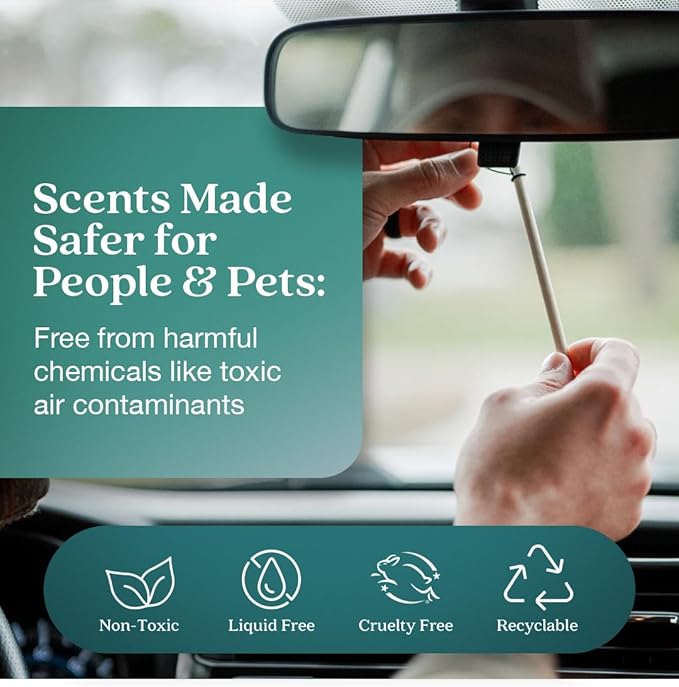 Enviroscent Non-Toxic* Car Air Freshener Auto Stix® - Scents Made Safer - Enjoy Fragrance Lasts Up to 180 Days - Includes Auto Stix® Diffusers & Elastic Loops - Seaside Coconut & Verbena (Pack of 3)