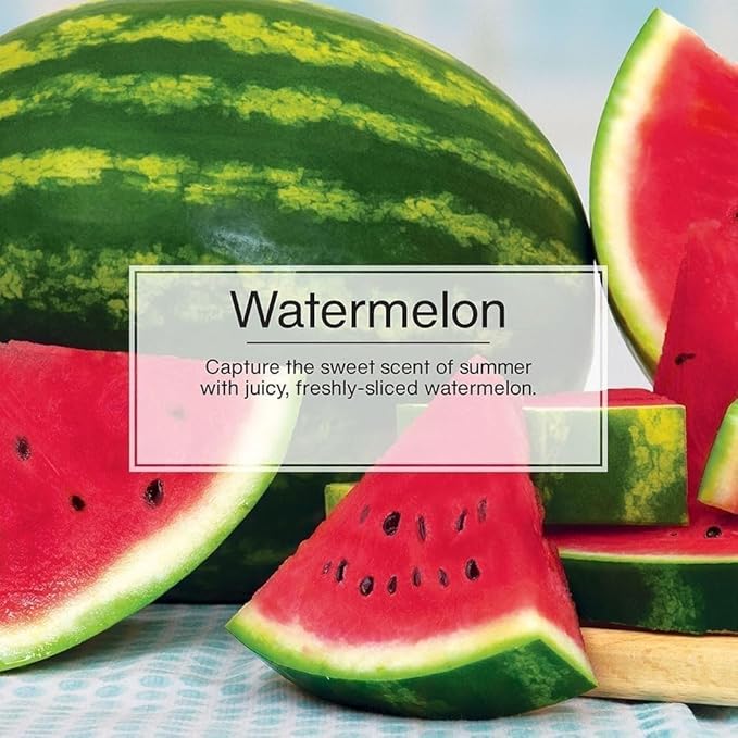 LITTLE TREES Car Air Freshener | Hanging Paper Tree for Home or Car | Watermelon Scent | 6 Pack