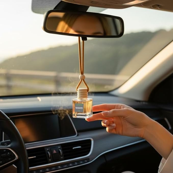 4 Pack Air fresheners | Long lasting car air fresheners, Hand-made in USA | Small room diffuser | Small Business Woman Owned. (Fresh & Earthy Mix SQ)