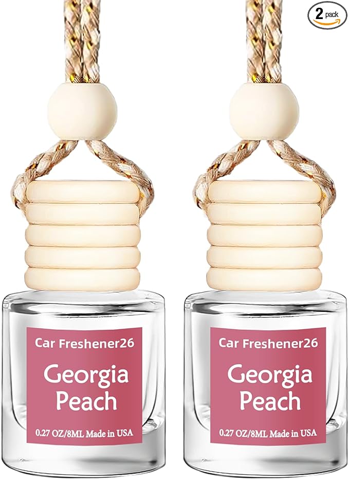 Hanging Car Air Freshener, Long Lasting Essential Oil Diffuser, Non-Toxic New Car Scent, Cute Car Fresheners for Women, 2 Pack Made in USA