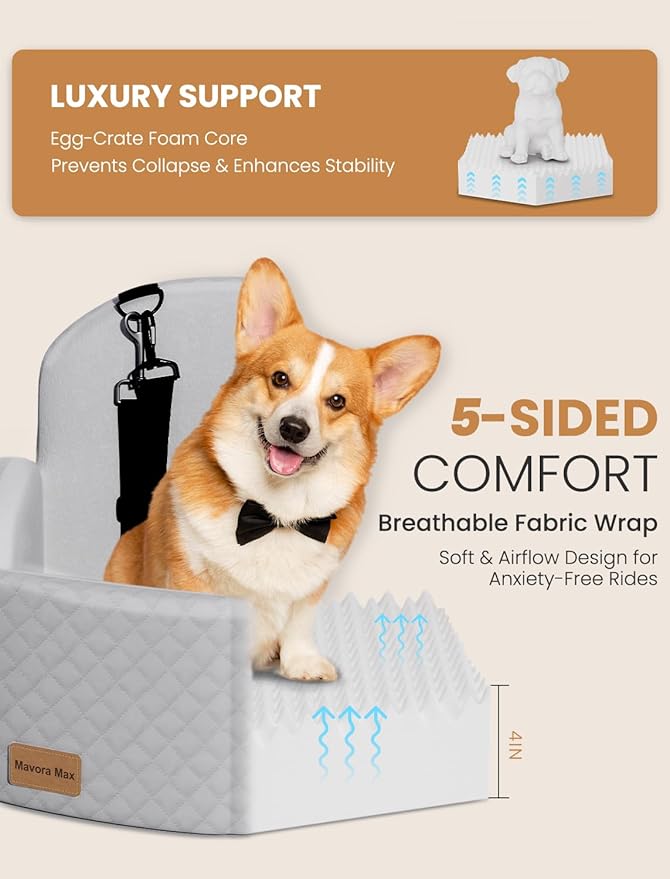 Dog Car Seat for Small/Medium Dogs, Elevated Dog Booster Seat Memory Foam Puppy Car Seat with Washable Cover, Travel Safety Pet Seat for Car with Storage Pockets Up to 35 lbs (Grey)