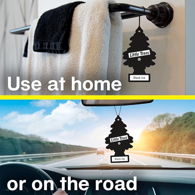 LITTLE TREES Car Air Freshener | Hanging Tree Provides Long Lasting Scent for Auto and Home | Royal Pine, 24 Air Fresheners