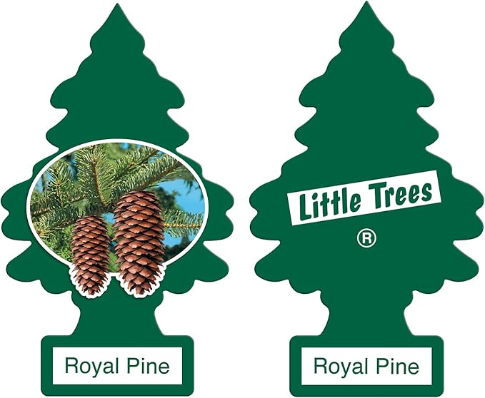Little Trees Car Air Freshener, Royal Pine 1 ea