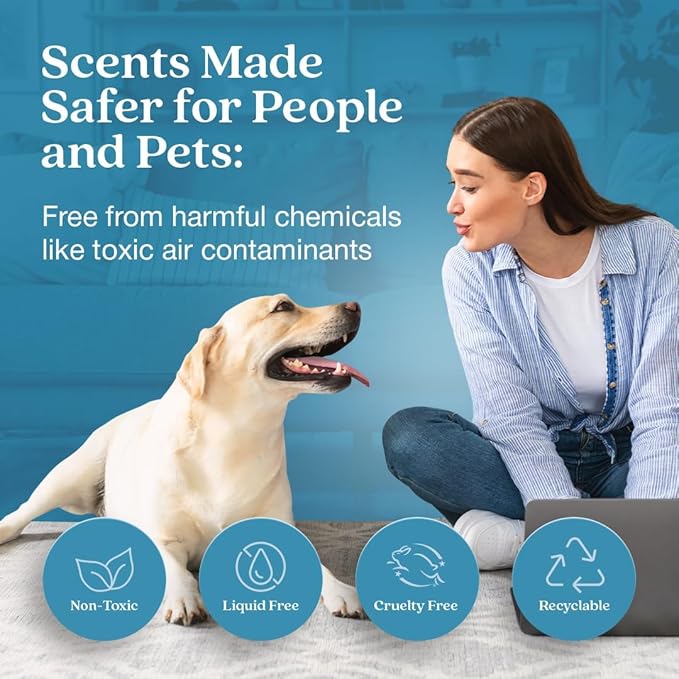 Enviroscent Non-Toxic* Car Air Freshener Auto Stix® - Scents Made Safer - Enjoy Fragrance Lasts Up to 480 Days - Includes Auto Stix® Diffusers & Elastic Loops - Spring Water & Lotus (Pack of 8)