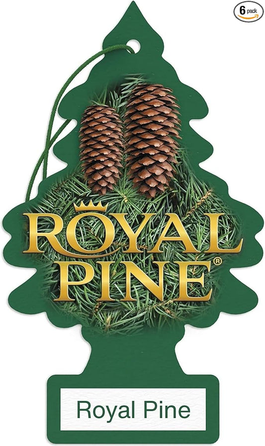 LITTLE TREES Car Air Freshener | Hanging Paper Tree for Home or Car | Royal Pine | 6 Pack