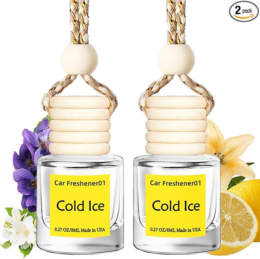 Hanging Car Air Freshener, Long Lasting Scent, Cute Air Fresheners for Women, 2 Pack Non-Toxic Essential Oil Diffuser, Made in USA