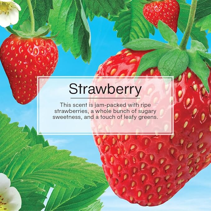 LITTLE TREES Car Air Freshener | Xtra Strength Provides Long-Lasting Scent for Auto or Home | Extra Boost of Fragrance | Strawberry, 24 Air Fresheners