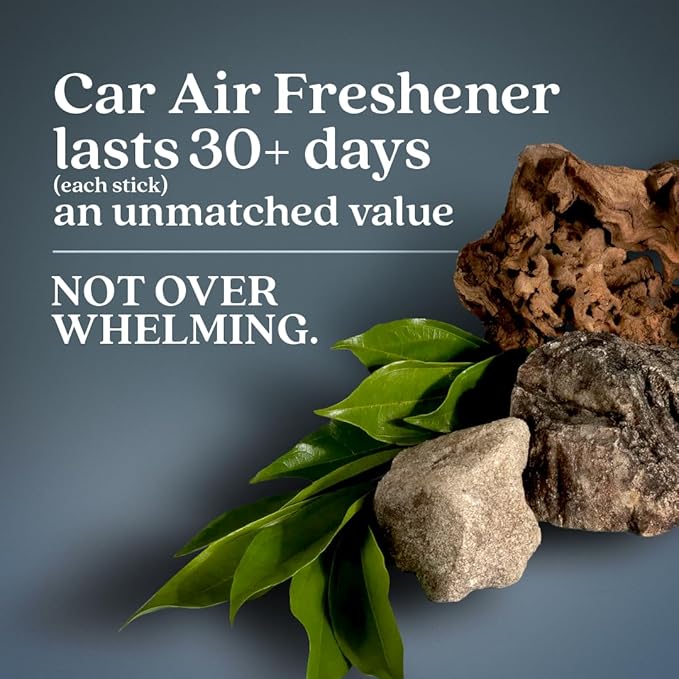 Enviroscent Non-Toxic* Car Air Freshener Auto Stix® - Scents Made Safer - Enjoy Fragrance Lasts Up to 180 Days - Includes Auto Stix® Diffusers & Elastic Loops - Coastal Storm & Teakwood (Pack of 3)