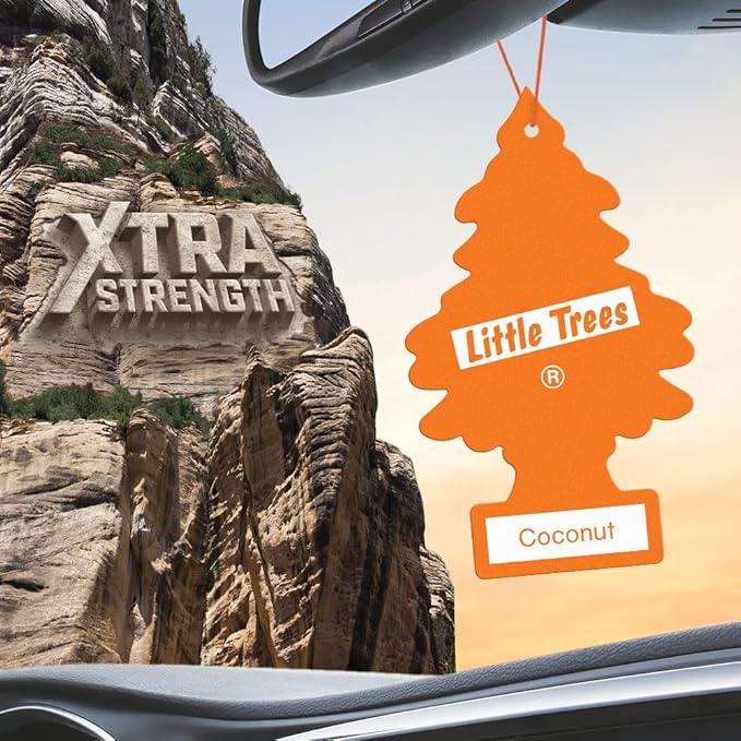 LITTLE TREES Car Air Freshener | Xtra Strength Provides Long-Lasting Scent for Auto or Home | Extra Boost of Fragrance | Coconut, 24 Air Fresheners