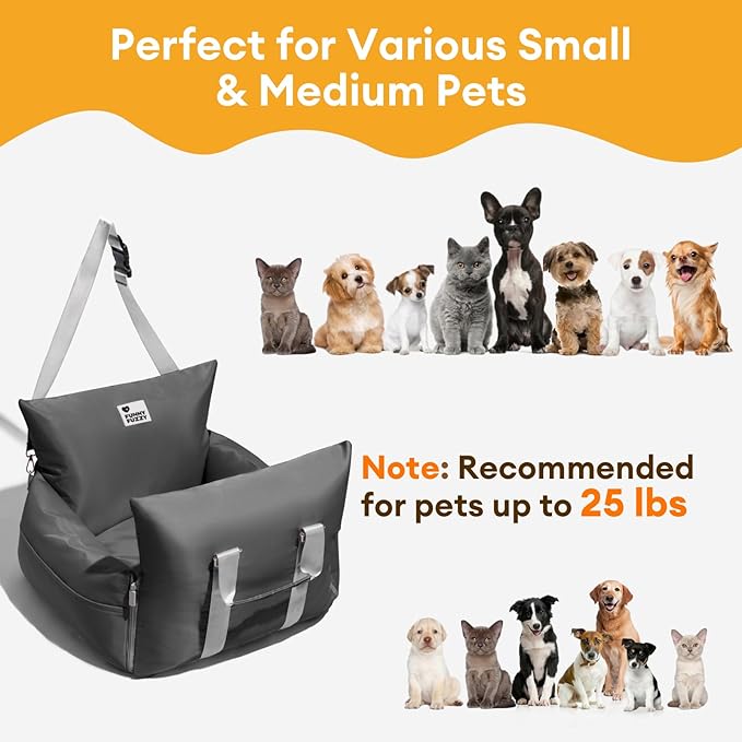 FUNNY FUZZY Dog Car Booster Seat for Small/Medium Dogs up to 25lbs – Waterproof, Non-Slip Base, Safety Leash & Fully Washable Design for Safe and Comfortable Travel (Gray)