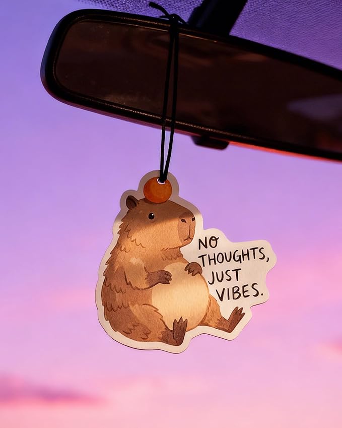 Car Air Freshener Funny Cute Humor 5pcs Raccoon Frog Capybara Car Accessories Automotive Interior Hanging Scents Mirror Decor for Women Teen Girls
