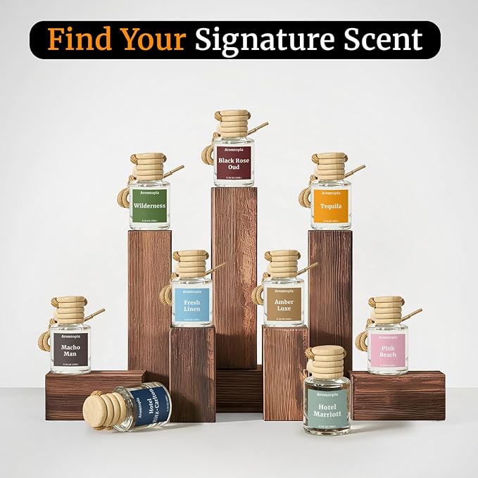 Hanging Car Air Freshener - Aromtopia Woody Scent Car Fragrance Diffusers - Car Odor Eliminator - Long Lasting Scent - Auto Accessories - Wilderness, Pack of 2