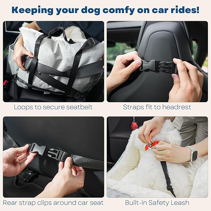 Milk and Soda Small Dog Car Seat Bed for Small Dogs Under 20 LBS with 2-Sided Pillow, Side Pockets, Clip on Leash, Machine Washable Cover, Pet Carseat Travel Carrier, Black, Small