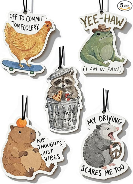 Car Air Freshener Funny Cute Humor 5pcs Raccoon Frog Capybara Car Accessories Automotive Interior Hanging Scents Mirror Decor for Women Teen Girls
