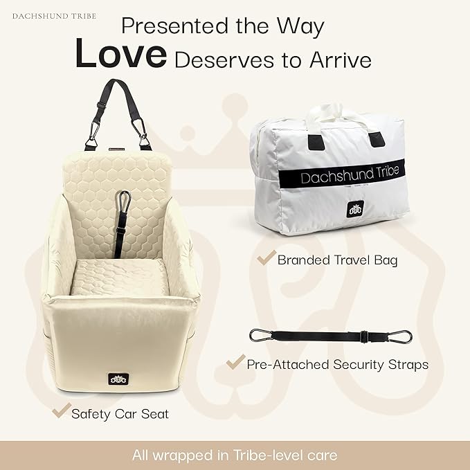 Dog Car Seat for Small Dogs, Dachshund Car Seat Booster Bed for Small Breeds – Non-Slip Base, Adjustable Straps, Washable Cover (Small Size Cream)