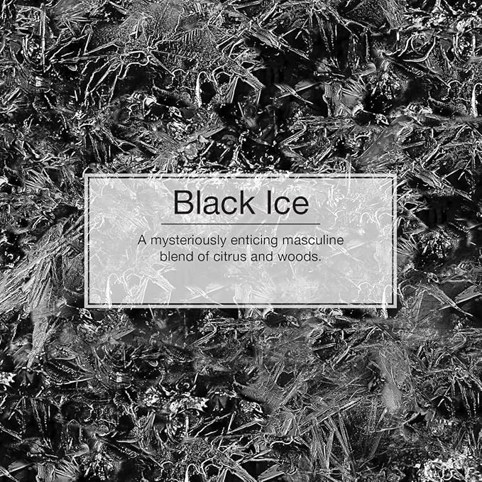 Little-Trees Black Ice Little Tree Air Freshener- 24 Pack