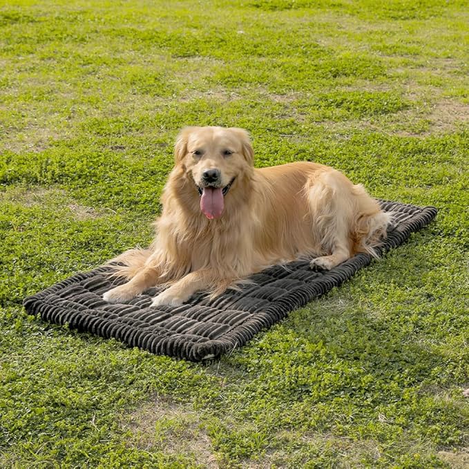 Awjcsv Dog Car Seat Cover for Back Seat, Dog Bed for Car, Fit for Backseat Extenders, Car Seat Protector, Nonslip Soft Durable for Cars Trucks and SUVs (Black, 24.8" x 54")