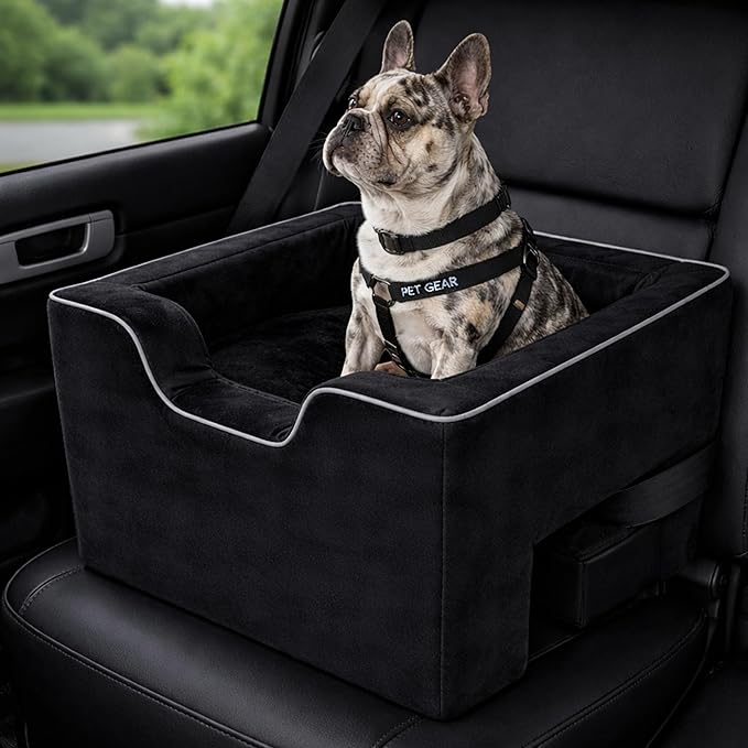 Pet Gear Lookout Booster Car Seat, Removable Comfort Pillow, Safety Tether Included, Installs in Seconds, No Tools Required, Dark Black
