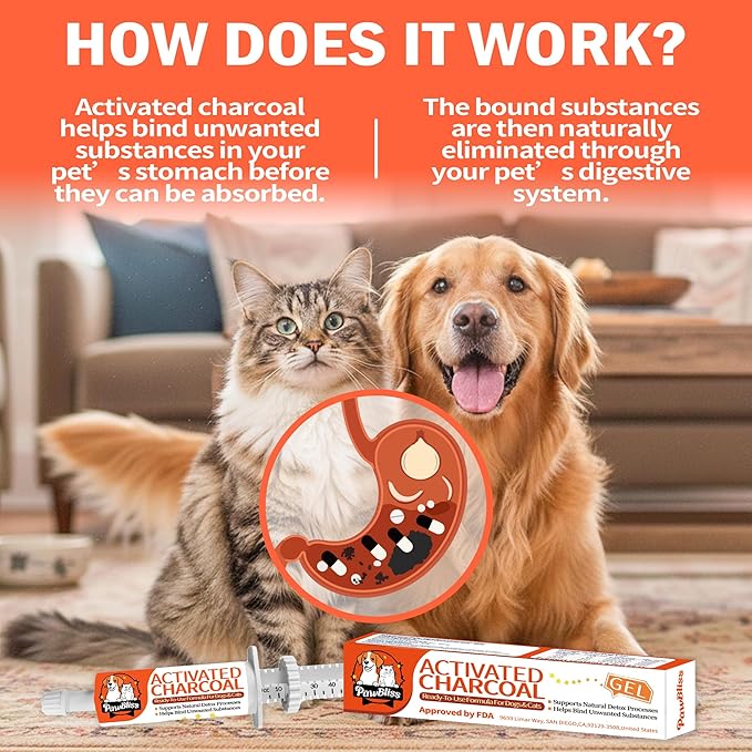 Activated Charcoal First Aid Kit -Emergency Support for Dogs, Cats & Puppies, Natural Charcoal Formula for Digestive Balance, Camping & Home Essential Oral Anti Diarrhea Digestive (60ml 1Tubes)