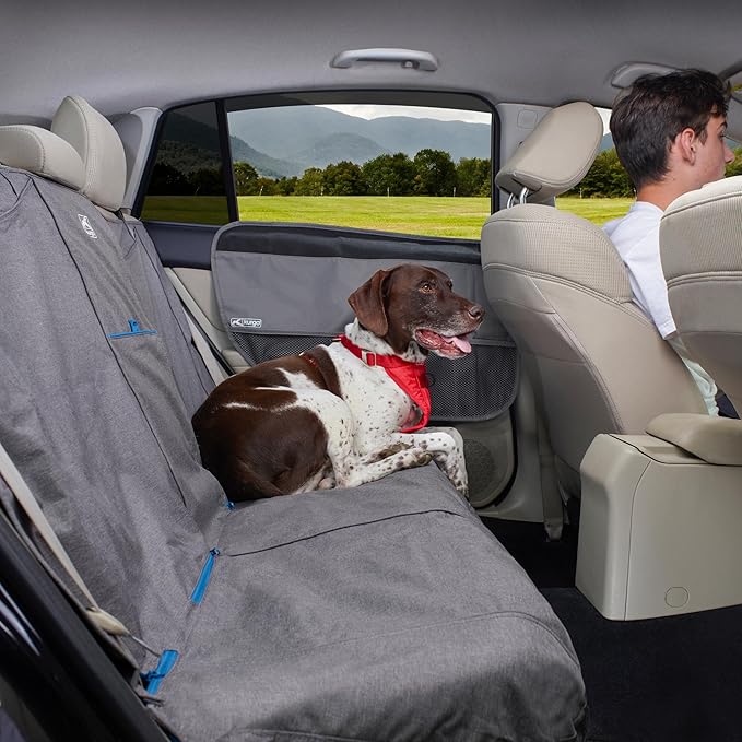 Kurgo Rover Car Door Guard - Interior Scratch Blocker - Paw Scratch Barrier - Waterproof Door Shield - Durable Rufftex Edging - Car Guard - Universal Fit for Most Cars - Charcoal Grey