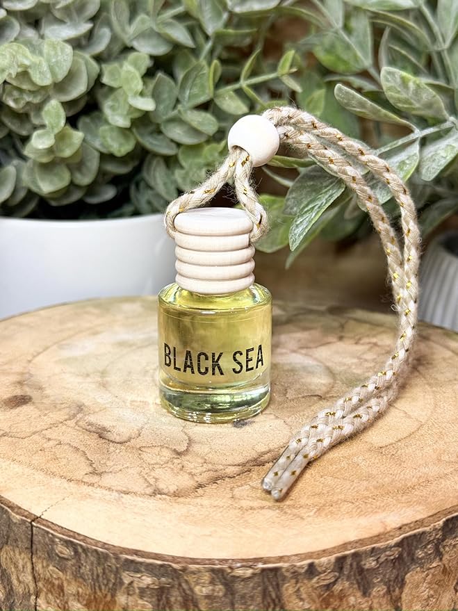 Black Sea Scent Hanging Car Air Freshener – Long Lasting Essential Oil Diffuser for Car, Closet, Bathroom – 2-Pack Natural Scent Deodorizer