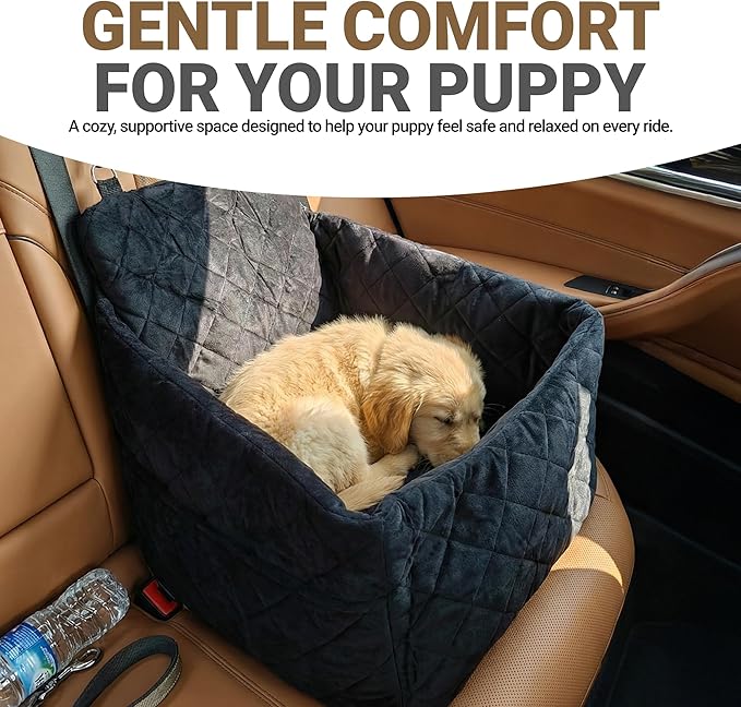 Elevated Dog Car Seat for Small/Medium Dogs up to 35 lbs, Memory Foam Pet Booster Seat with Detachable Washable Cover, Portable Travel-Safe Bed for Cars with Safety Belts and Storage Pockets