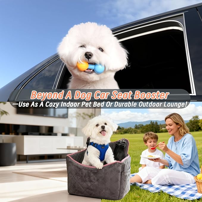 Dog Car Seat for Medium Sized Dogs 30 lbs, Safety Dog Booster Seat for Small Dogs with Secure Safe Buckles & Clip-On Leash, Soft Waterproof Washable Travel Doggy Car Seat with Storage Pockets(Gray)